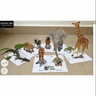 Bộ thẻ học FLASHCARD ANIMAL 4D+