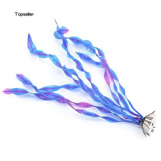 Cây thủy sinh trang trí hồ cá