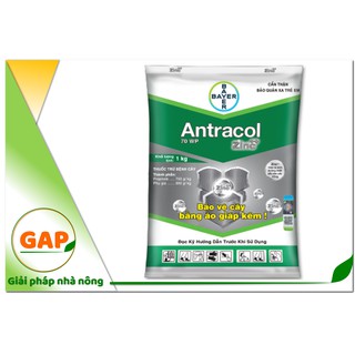 ANTRACOL 70WP 1kg - Giúp lá (xanh) khỏe, thẳng đứng và sạch bệnh