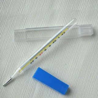 Nhiệt kế thủy ngân