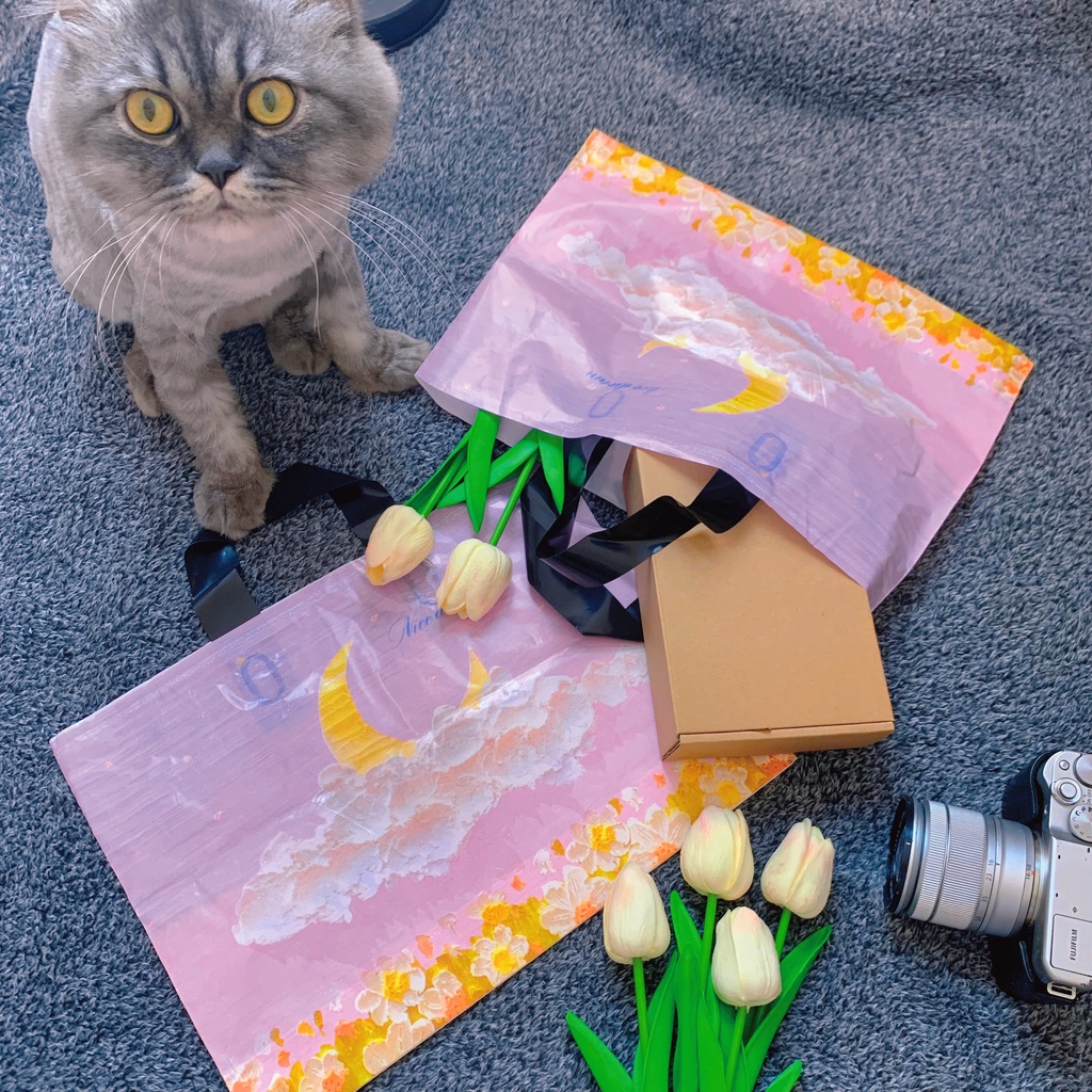 Túi Đựng Hộp Quà Túi Nhựa In Họa Tiết Sơn Dầu Để Hộp Quà Thêm Ấn Tượng Kích Thước Lớn Vừa Nhiều Size Hộp