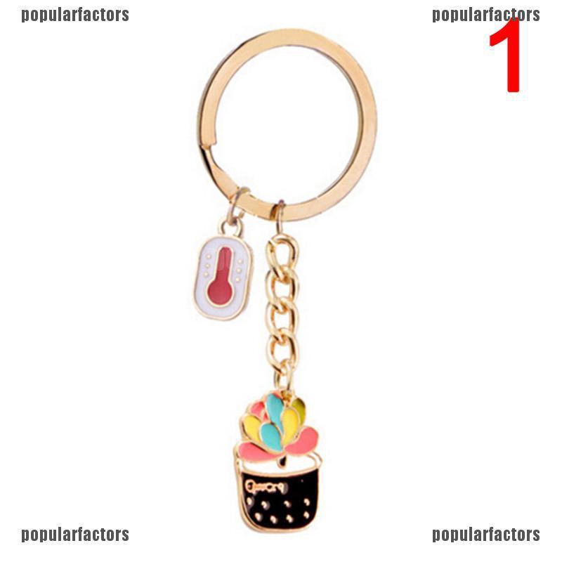 Cây Xương Rồng Tráng Men Sáng Tạo