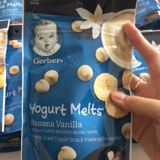 SỮA CHUA KHÔ GERBER ĐỦ VỊ