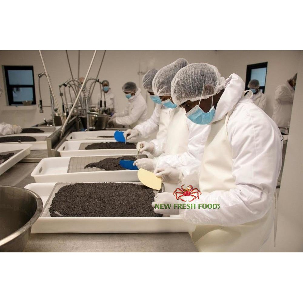 TRỨNG CÁ TẦM NGA CAO CẤP - CAVIAR DE DUC - 50GRAM/HỘP