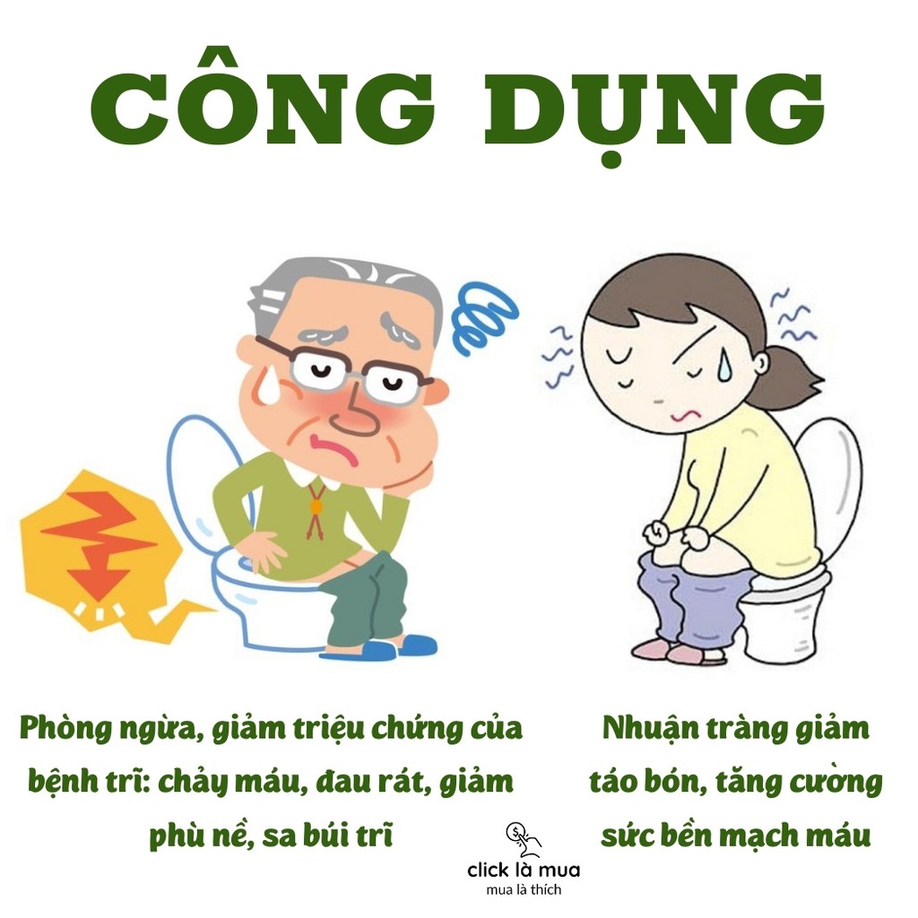 Co búi Trĩ tâm an nhuận tràng giảm táo bón – hỗ trợ người bệnh trĩ nội trĩ ngoại 60 viên