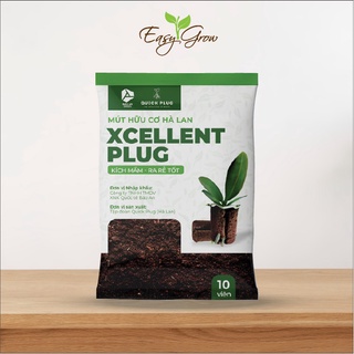Mút hữu cơ hà lan Xcellent Plug, siêu kích rễ cho kie lan, kiểng lá - túi 10 viên tiện lợi