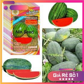 HẠT GIỐNG DƯA HẤU RUỘT ĐỎ SỌC DÀI - HGNK
