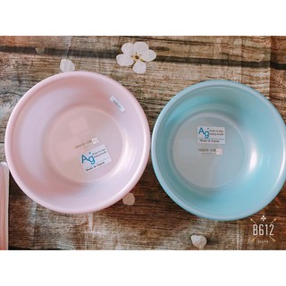 Chậu nhựa kháng khuẩn Richell RC33168 2.6L
