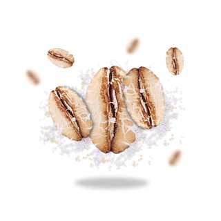 Cám Lúa Mì Hữu Cơ Sottolestelle 375g Wheat Bran