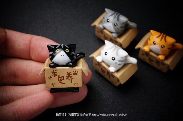 Hotshoe cài flash máy ảnh Mèo