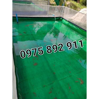 Bể bạt nuôi ốc ếch cá xanh bộ đội 6x3x1
