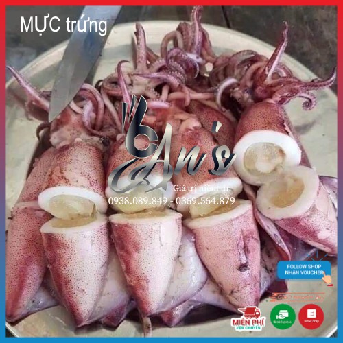 MỰC trứng 1kg, MỰC ống toàn là trứng | BigBuy360 - bigbuy360.vn