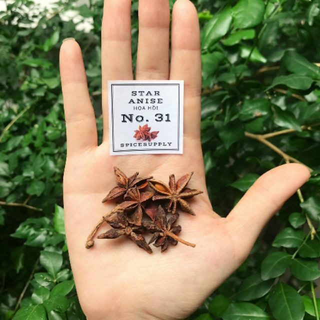 Star Anise - Hoa đại hồi nấu Phở và món Trung