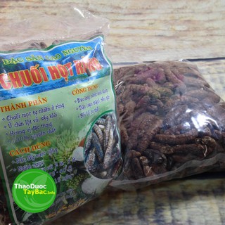 Chuối Hột - Thảo Dược Tây Bắc