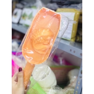 Khuôn gõ Vĩnh Trường Cá - Lợn