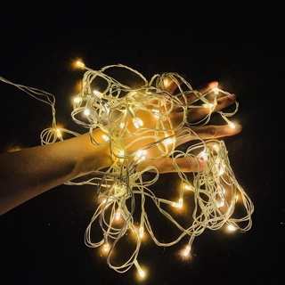 Dây đèn led trang trí cắm chuôi điện dài 5m