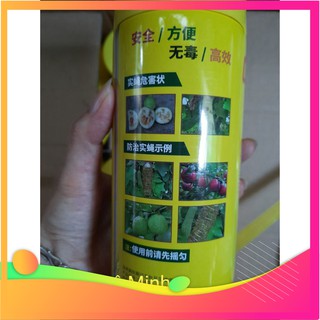 Chai keo xịt bẫy ruồi vàng 450 ml chất lượng