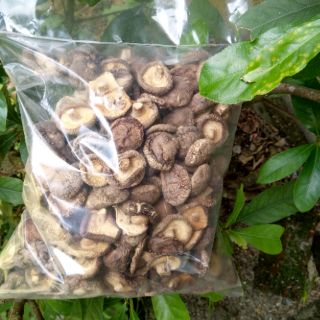 NẤM HƯƠNG - nấm trứng