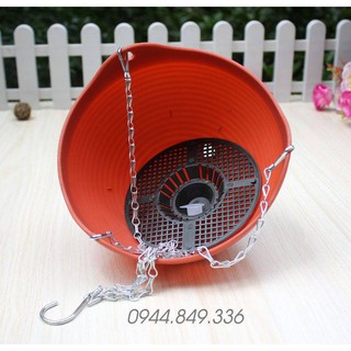 COMBO 10 CHẬU SIÊU RẺ