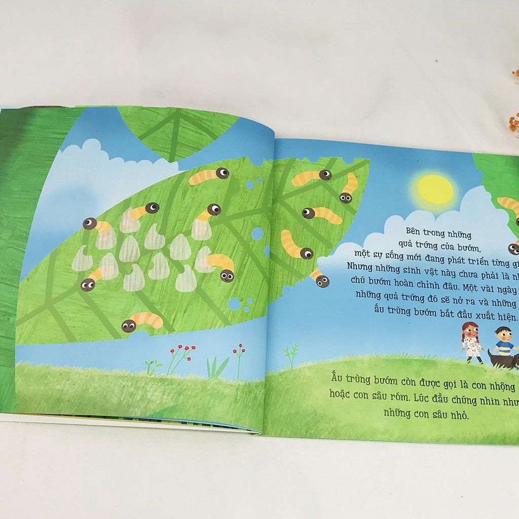 Sách - Bộ 4 quyển Bé yêu khám phá 1