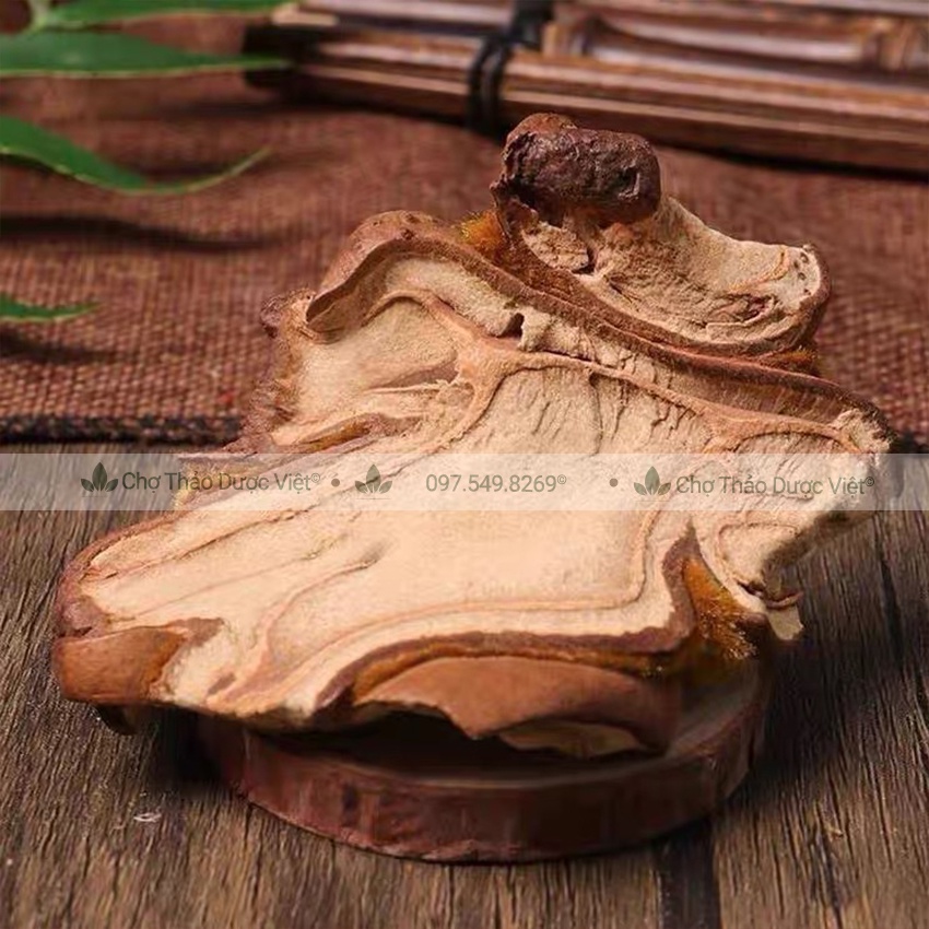 Cẩu tích, cây lông culi khô 1kg mạnh gân cốt, tăng cường sức khỏe phái mạnh - Chợ Thảo Dược Việt