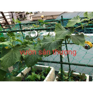 Lưới Làm Giàn, Vây Chuồng Trại (1mét ), (Khổ Kéo Căng Được 2 mét) Mắt Nhỏ 4x4 Cm, Sợi Xanh Bền, Trồng Cây Dây Leo