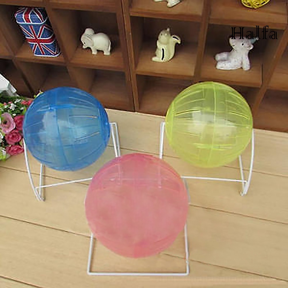 Bóng nhựa đồ chơi cho chuột hamster