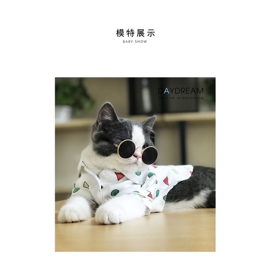 Kính mắt tròn, dây đỡ kính cho thú cưng