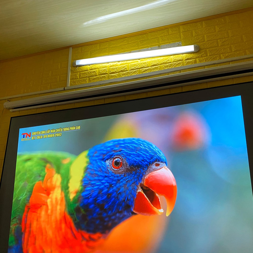 Tiennam projection screen