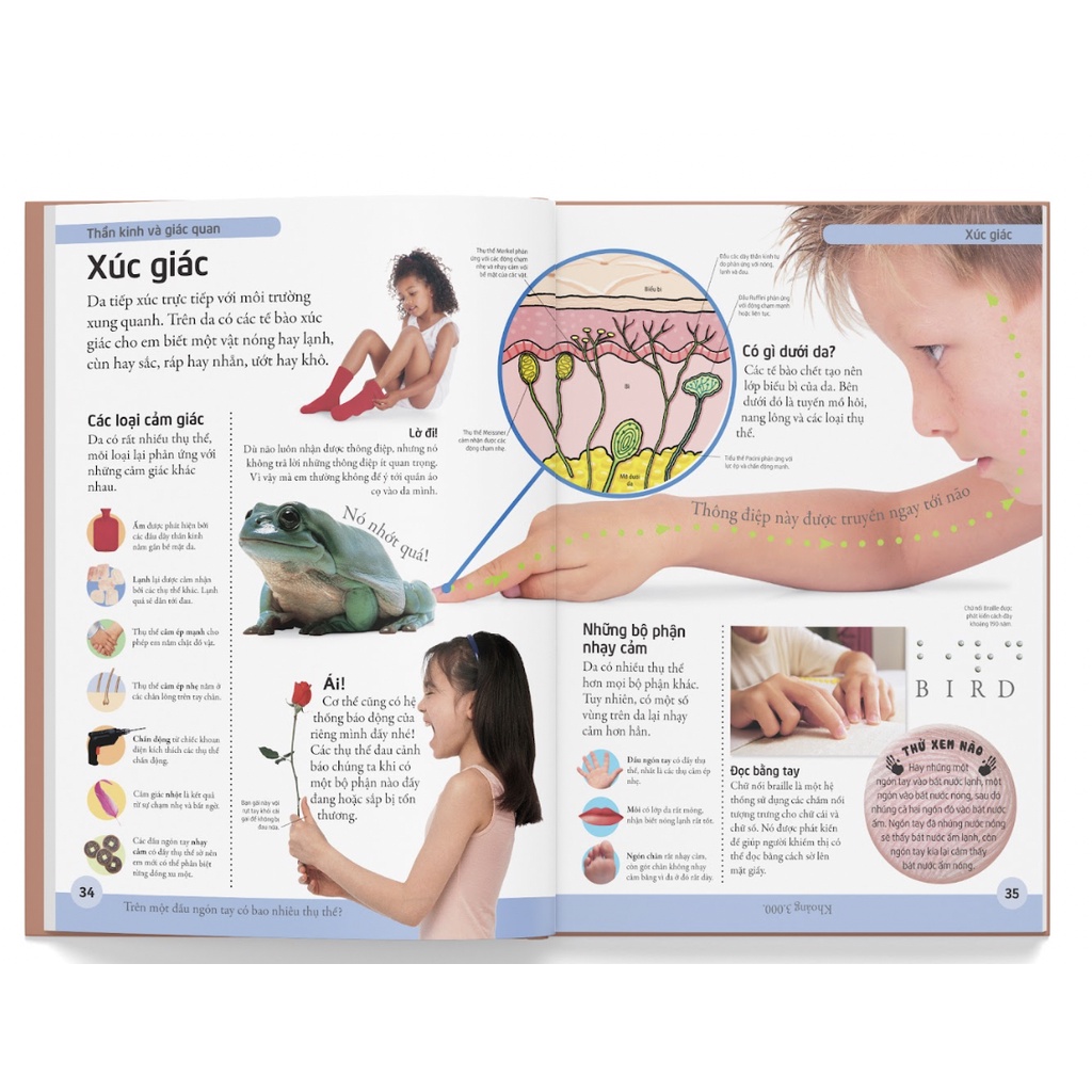 Sách Đông A - Bách khoa cho trẻ em – Cơ thể người