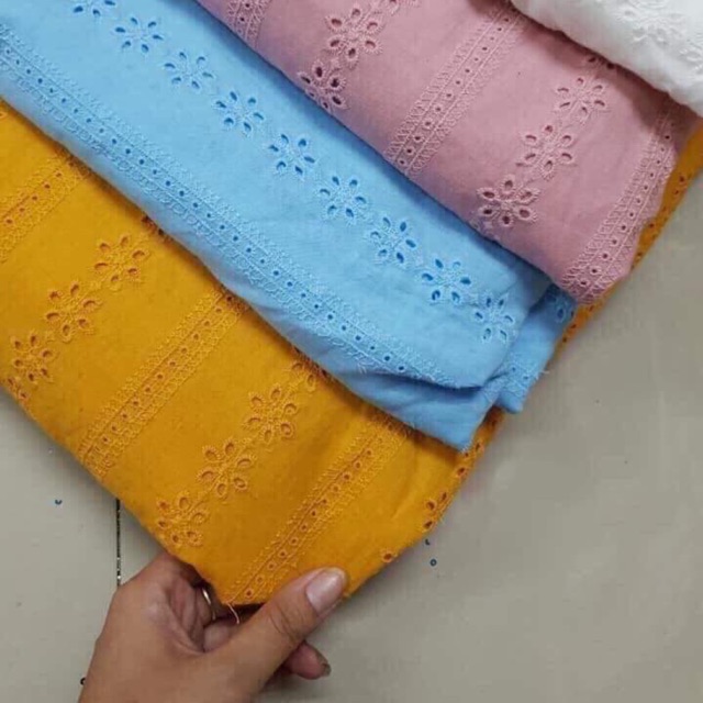 Boi đục lỗ