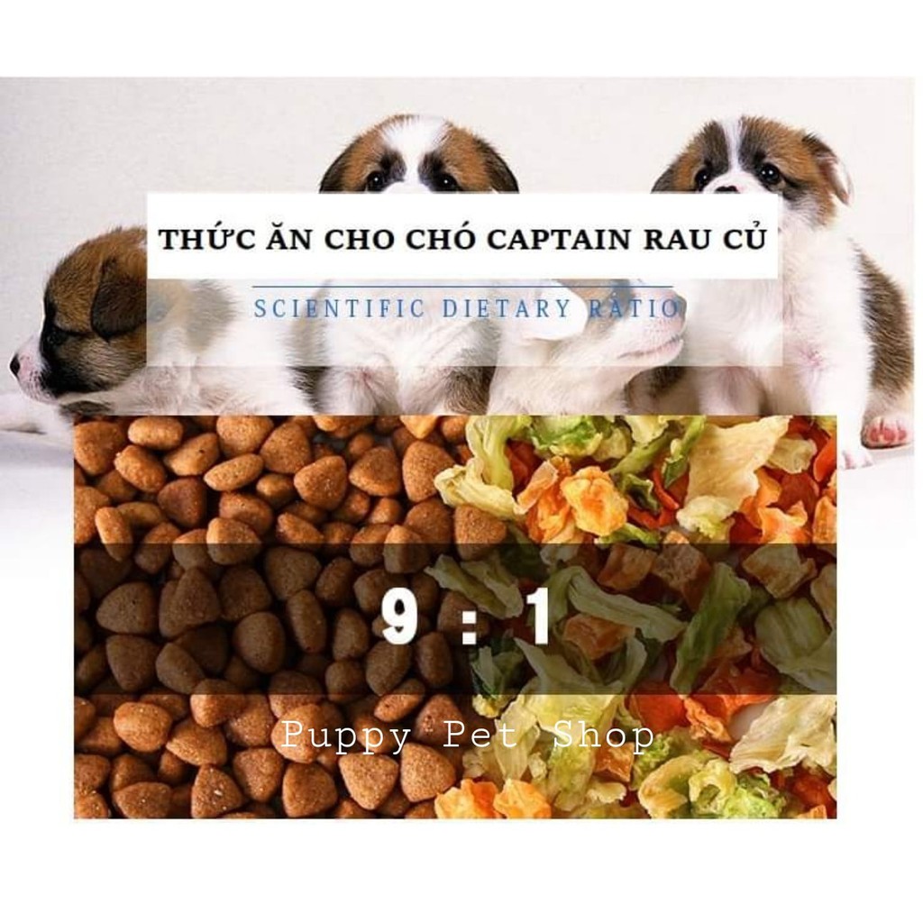 Thức Ăn Khô Cho Chó Captain Rau Củ Gói 1Kg