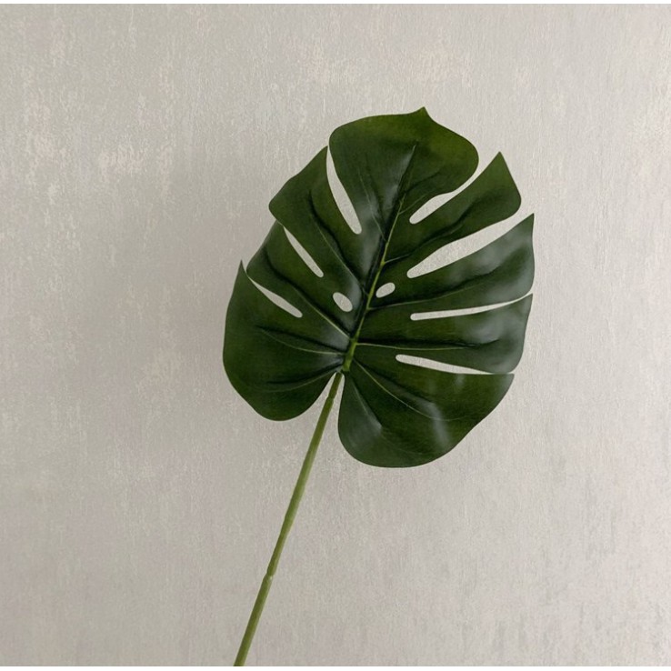 Cành lá giả trang trí - Lá dừa, Monstera, Bạch đàn chụp mẫu sản phẩm đẹp