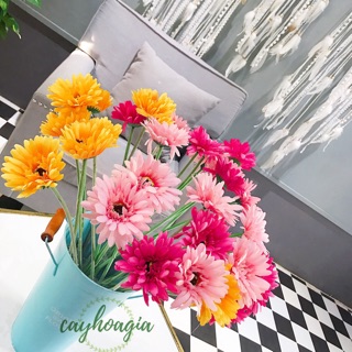 HOA LỤA Hoa đồng tiền giống thật 99%