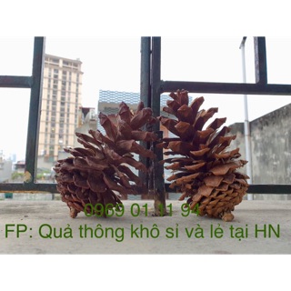 Cây thông trang trí noel
