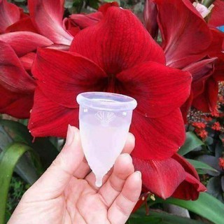 Cốc nguyệt san Lincup tặng 200k+cốc tiệt  trùng