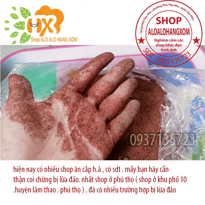 hạt giống cây tràm úc -500 gram