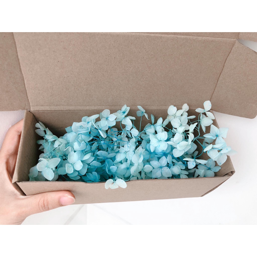 Hộp hoa cẩm tú cầu khô trang trí dùng để làm thiệp, chụp hình phụ kiện, làm resin