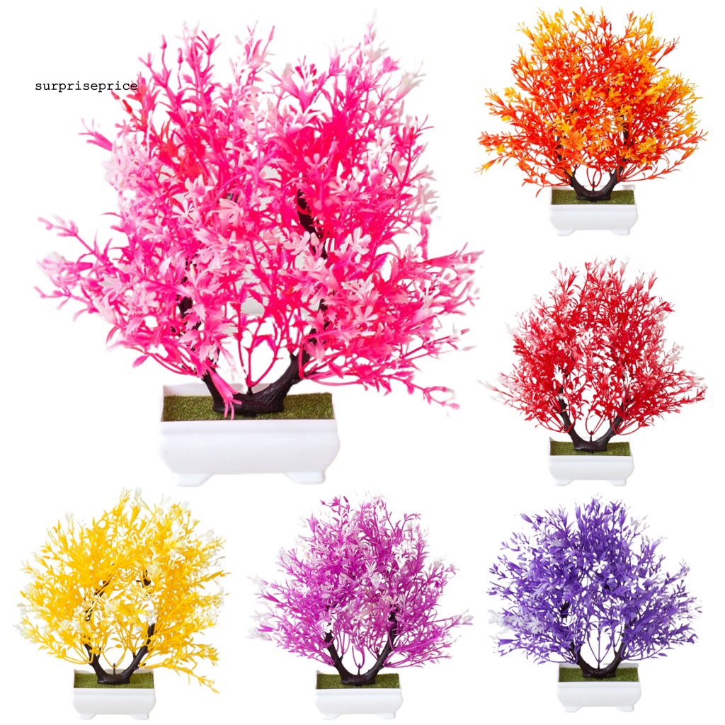 Chậu Cây Bonsai Giả Trang Trí