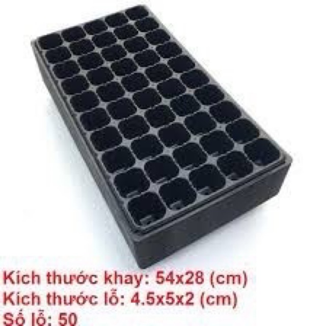 BỘ 05 KHAY ƯƠM HẠT 50 LỖ