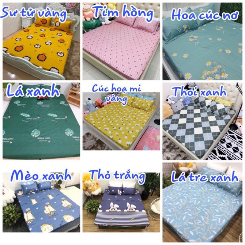 Bộ ga chun kèm vỏ gối cotton poly rẻ bền đẹp( được chọn mẫu) | BigBuy360 - bigbuy360.vn