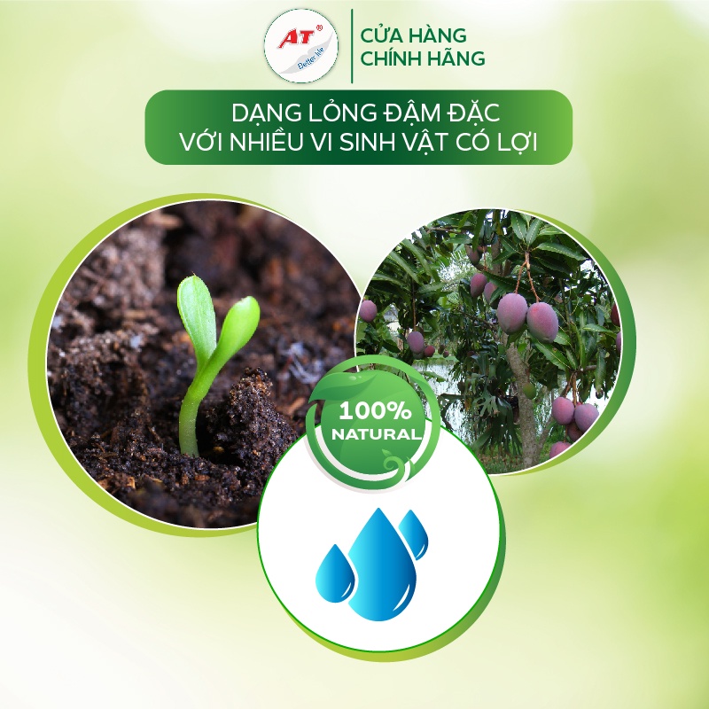 Chế phẩm trị thối thân thối hoa héo rũ phấn trắng, khô cành khô quả, chảy gôm trên cây trồng - AT Ketomium đậm đặc 100ml