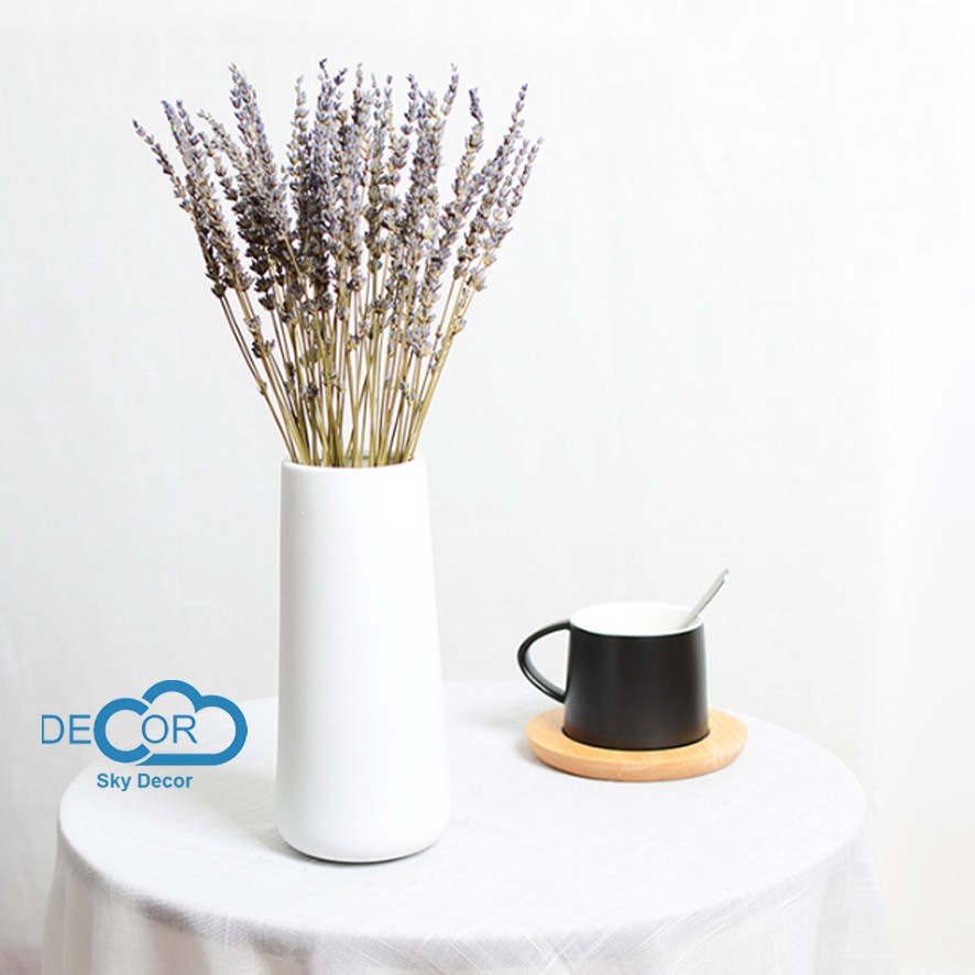 BÓ, NHÁNH, CÀNH LAVENDER KHÔ TỰ NHIÊN TRANG TRÍ NHÀ CỬA, ĐẠO CỤ CHỤP ẢNH SẢN PHẨM