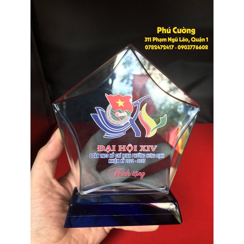 Kỷ niệm chương - Pha lê - Ngôi sao mã 01