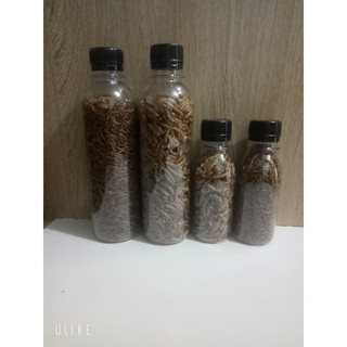 Sâu khô vỗ béo hamster
