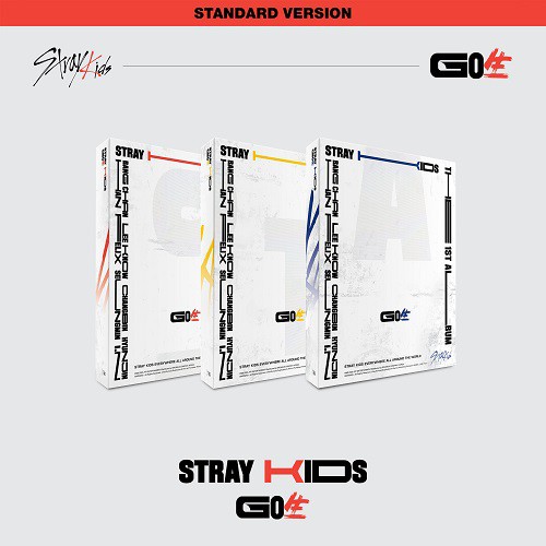 JYP Entertainment Stray Kids - Go Live Standard Version Random