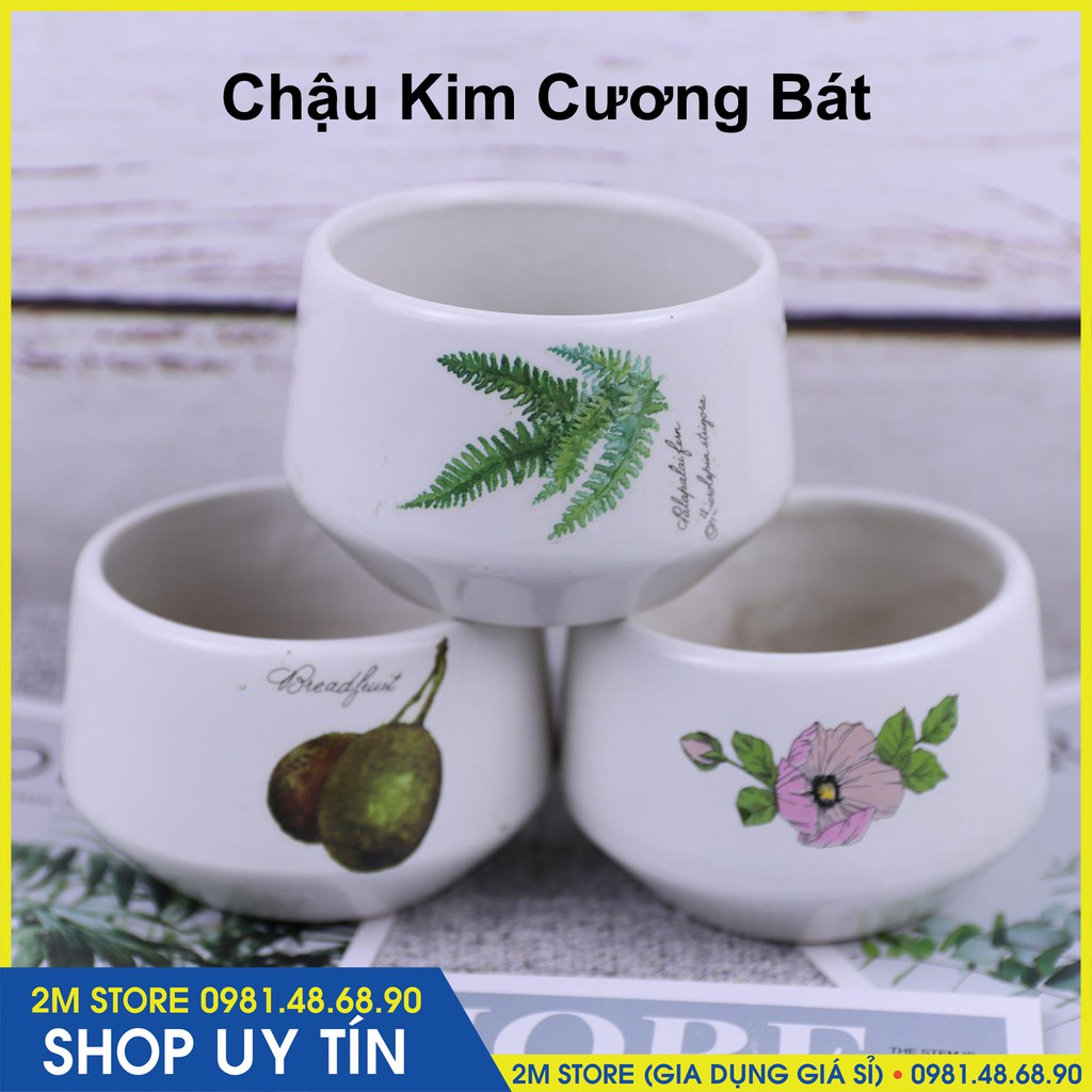 (CHỌN CHẬU) Chậu Sứ MINI Bát Tràng Trồng Cây Cảnh, Sen Đá, Xương Rồng