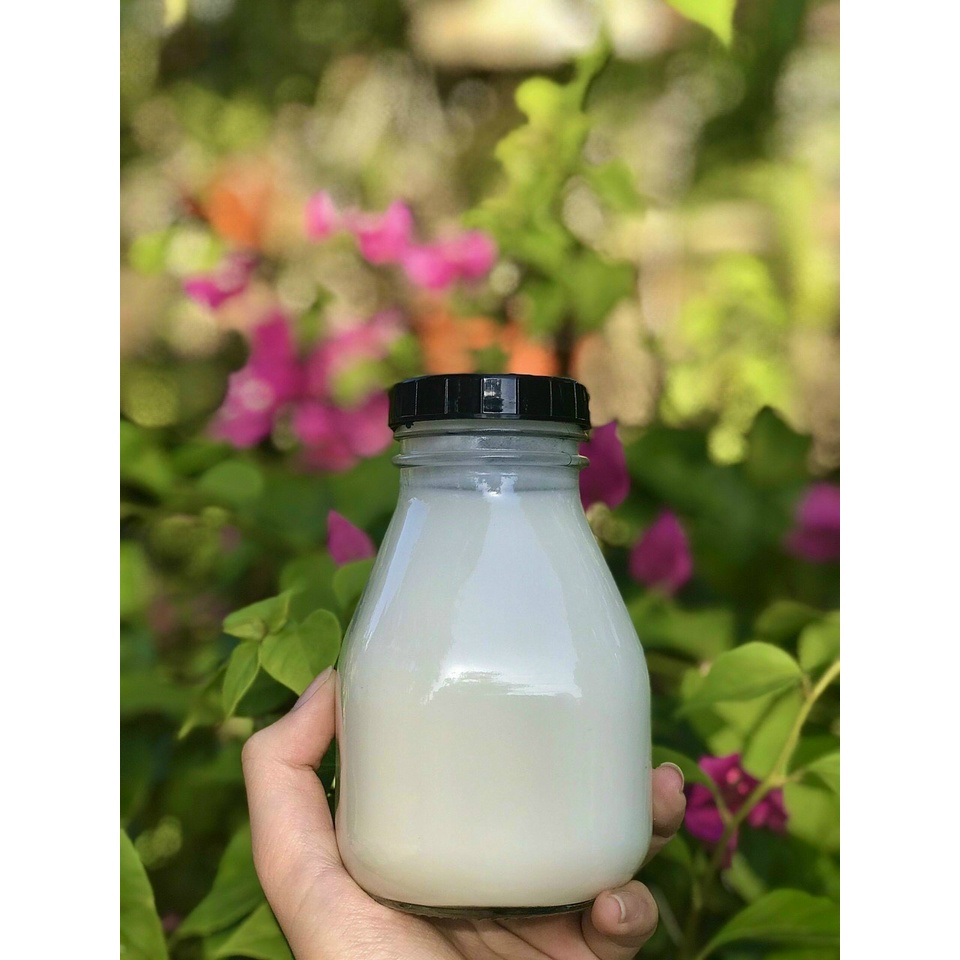 Chai thủy tinh VUÔNG LÙN 500ml và 300ml dùng đựng nước trái cây, detox, sữa nắp nhựa đen