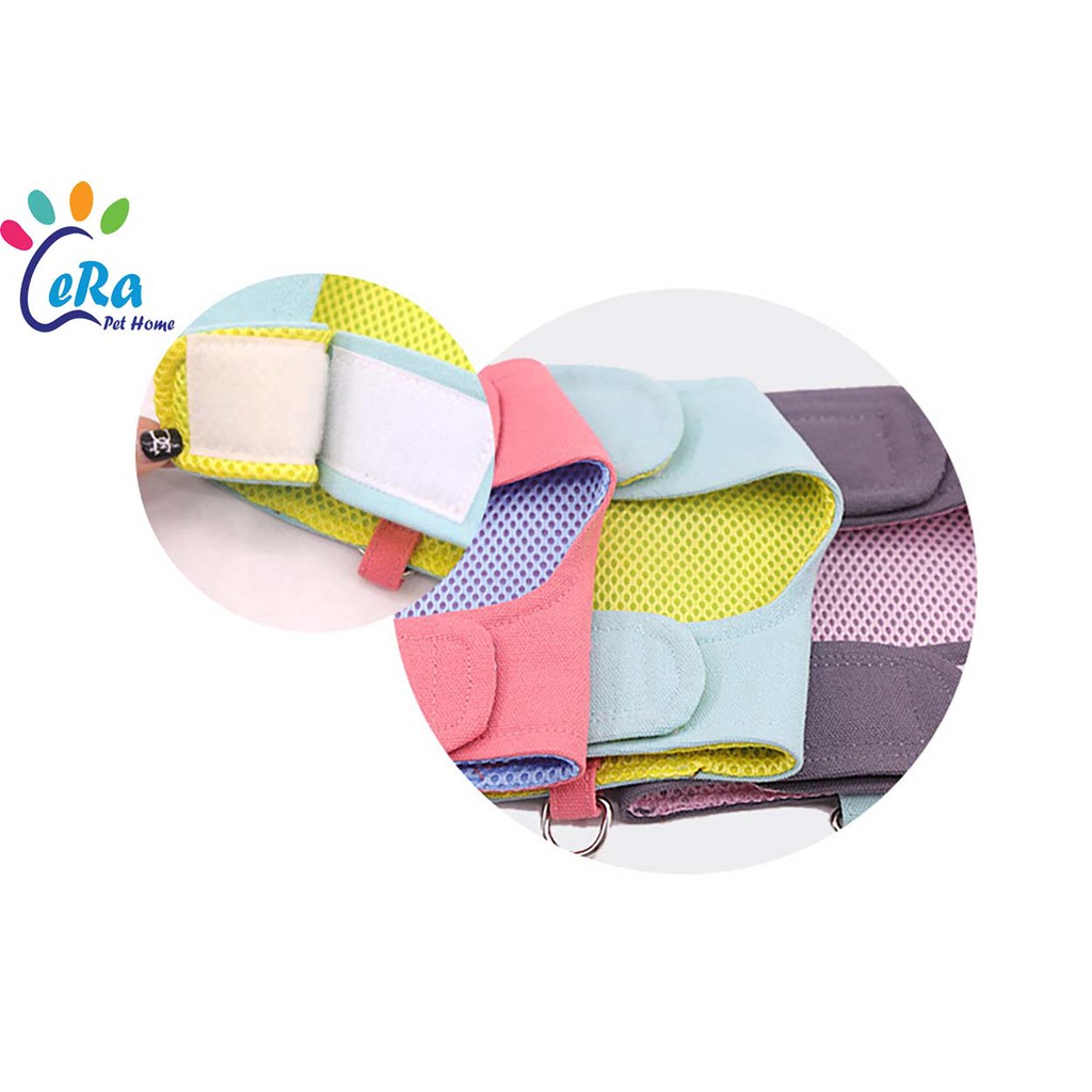 Bộ Dây Dắt Yếm Dễ Thương Tiện Dụng - Dây Dắt 025