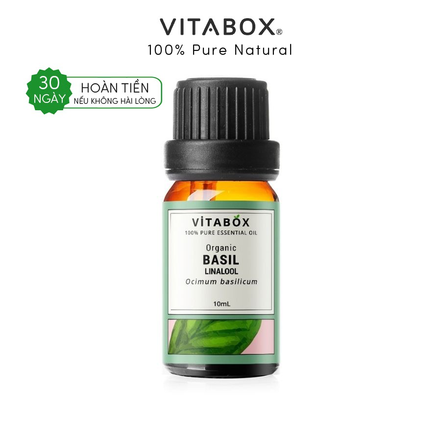 Tinh dầu Húng Quế Tây hữu cơ Basil Linalool VITABOX thiên nhiên nguyên chất – pure natural organic essential oil